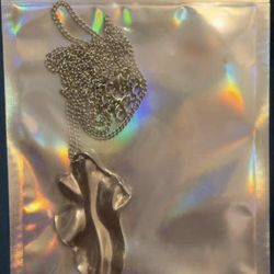 Paparazzi Long Necklace 