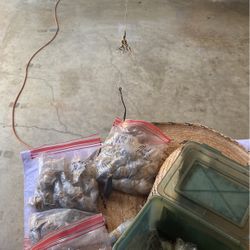 Catfishing Liters 5 Oz Lead Weights 