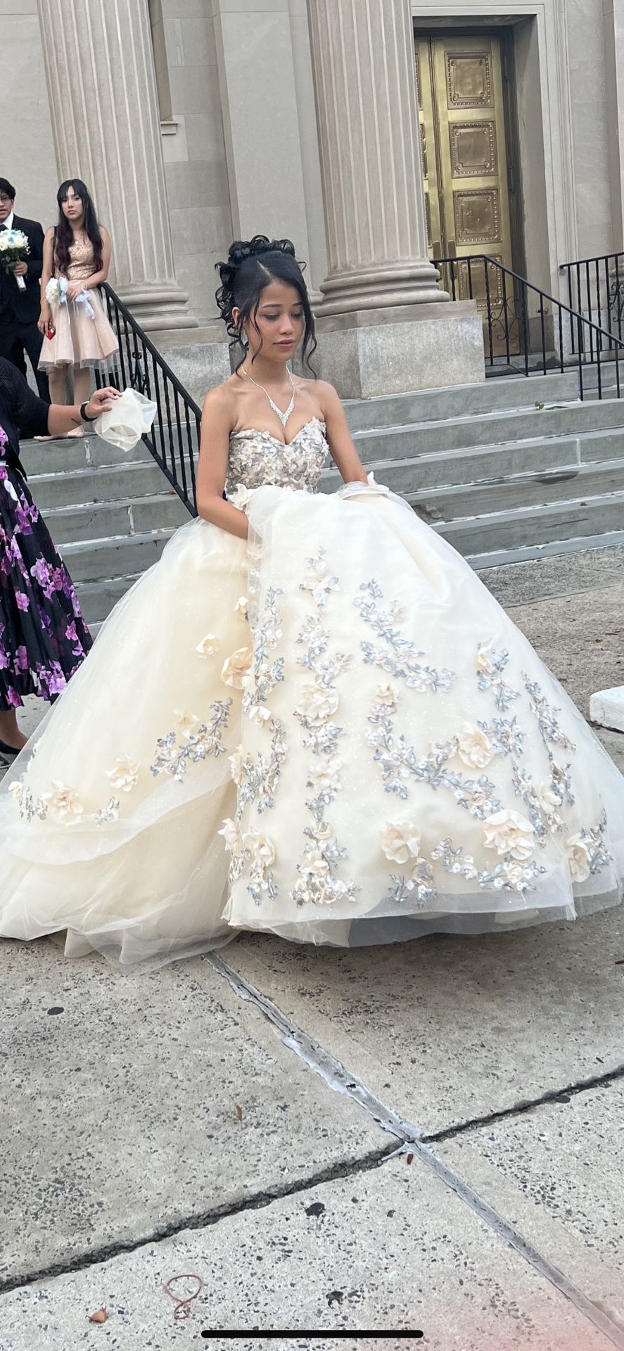 Sweet 15 Or Sweet 16 Dress
