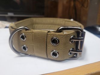Dog Collar 