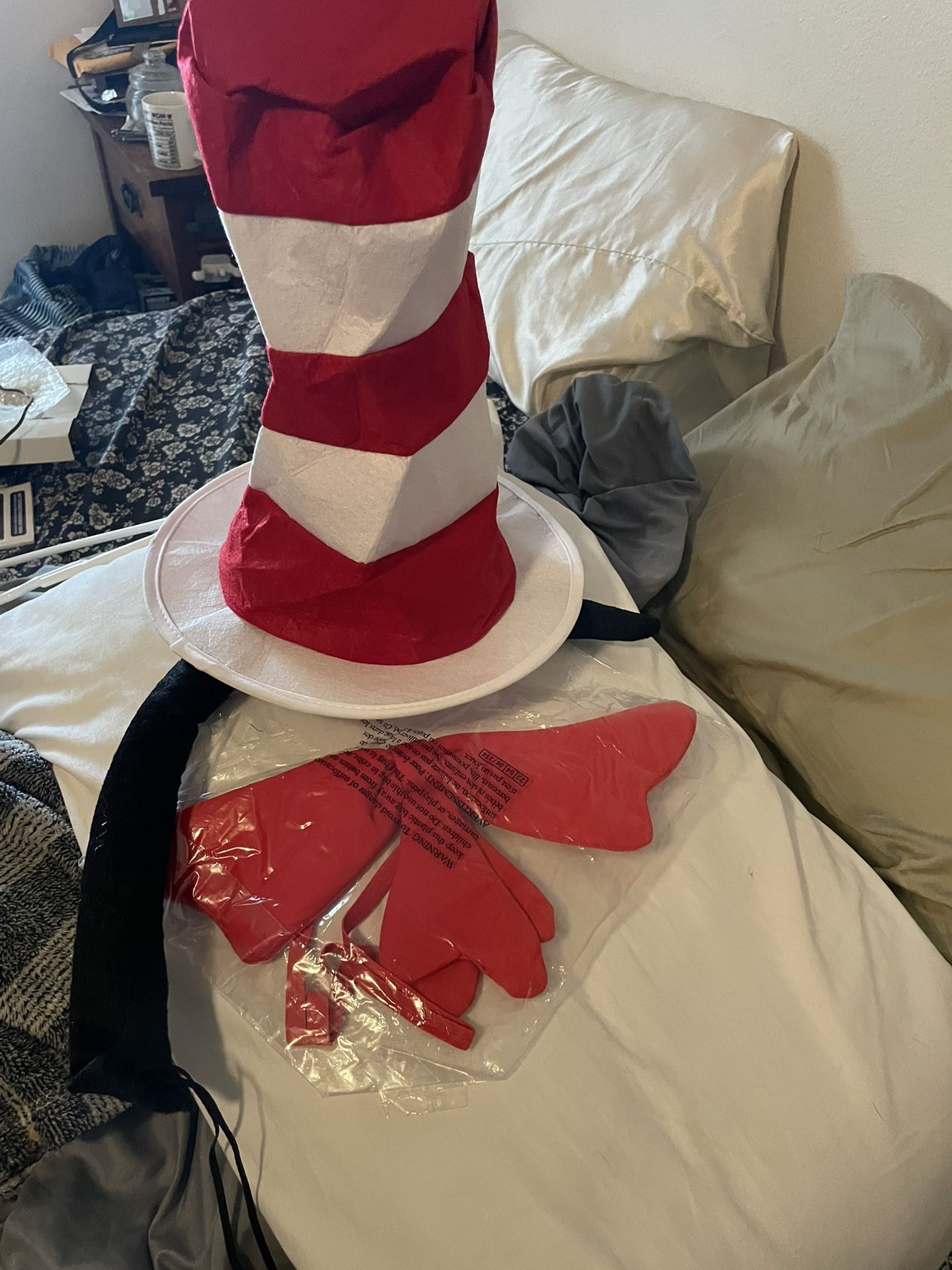 Cat În The Hat