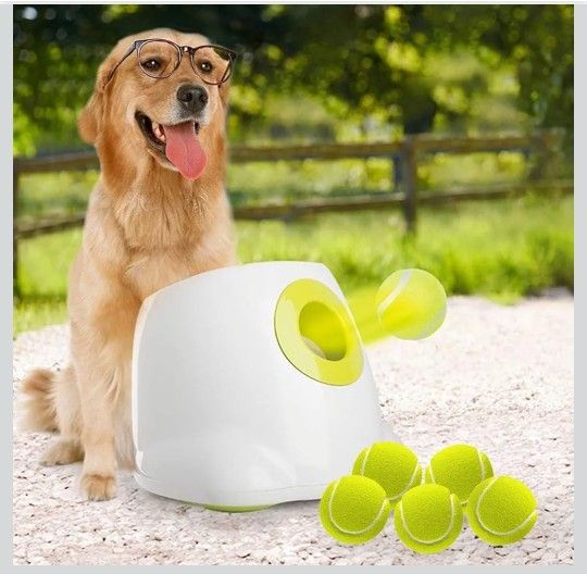 ALL FOR PAWS Automatic Dog Ball Launcher for Medium to Large Dogs, Interactive Tennis Ball Thrower, Rechargeable Dog Toy Mental Stimulation Training G