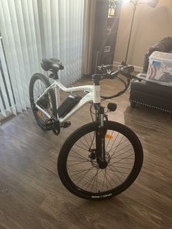 5th Wheel Electric Bike