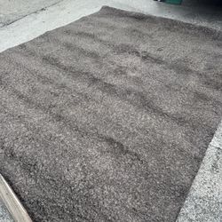 Grayish shag-style Area Rug - 9 x 12