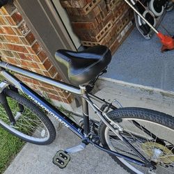 Diamondback Mountain Bike 26" Tires