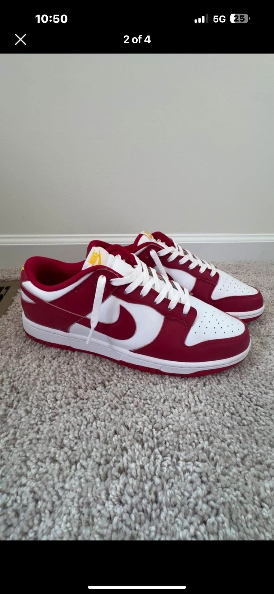 Size 11 Red Nike Sb Dunks