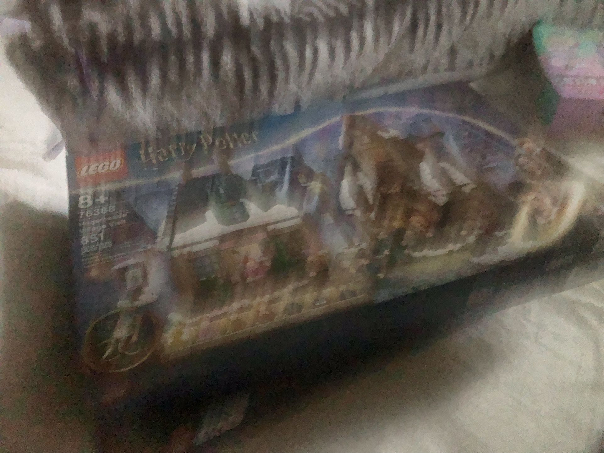 Harry Potter Hogsmeade Lego Set 