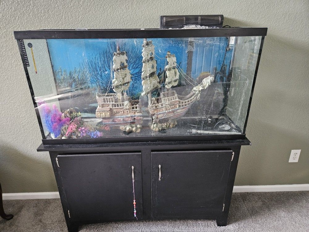 65 Gal Saltwater Tank