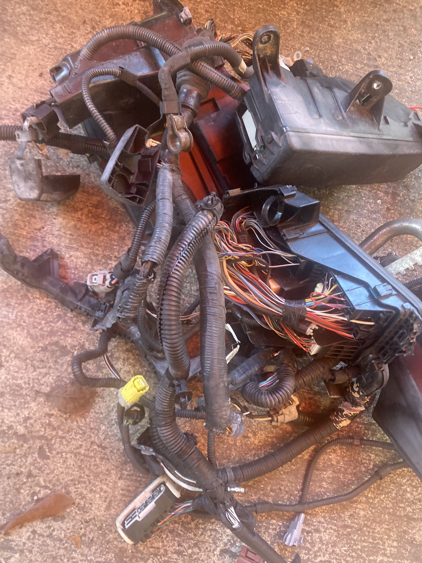 Lexus Is250  Body Harness