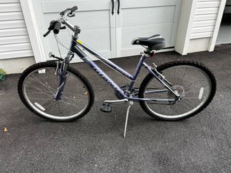 Giant Boulder Bike