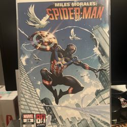 Miles Morales Spider-Man #28 - Variant Cover