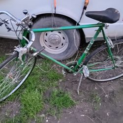 Vintage Jewel Bike 
