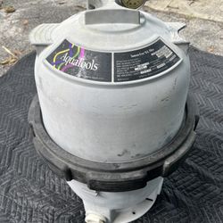AquaTools Aqua Tools 8230 DE Pool Filter 1 Sta-Rite PLD50 StaRite Pentair 27002-0030S 