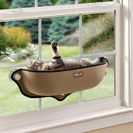 Cat Window Perch