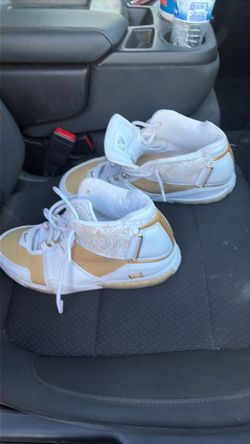 LeBron James shoe