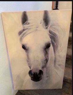 Horse wall decor