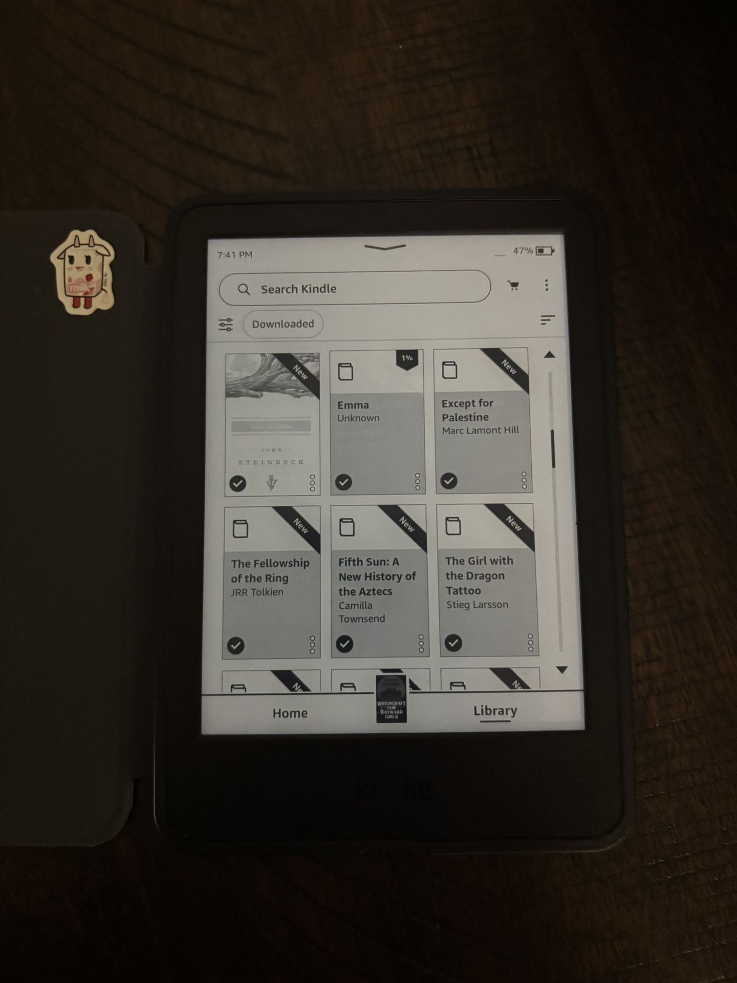 Kindle 6" Newest Gen