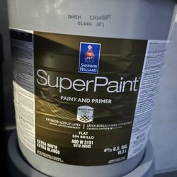 5 Gallon Paint 