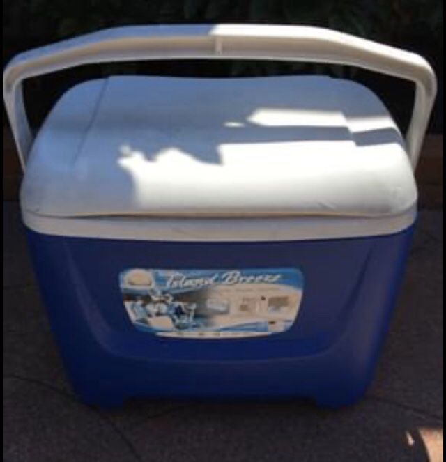 Blue Igloo 28 Quart Cooler