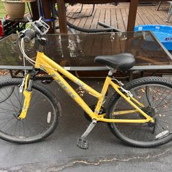 Women’s Trek Bike, 24”
