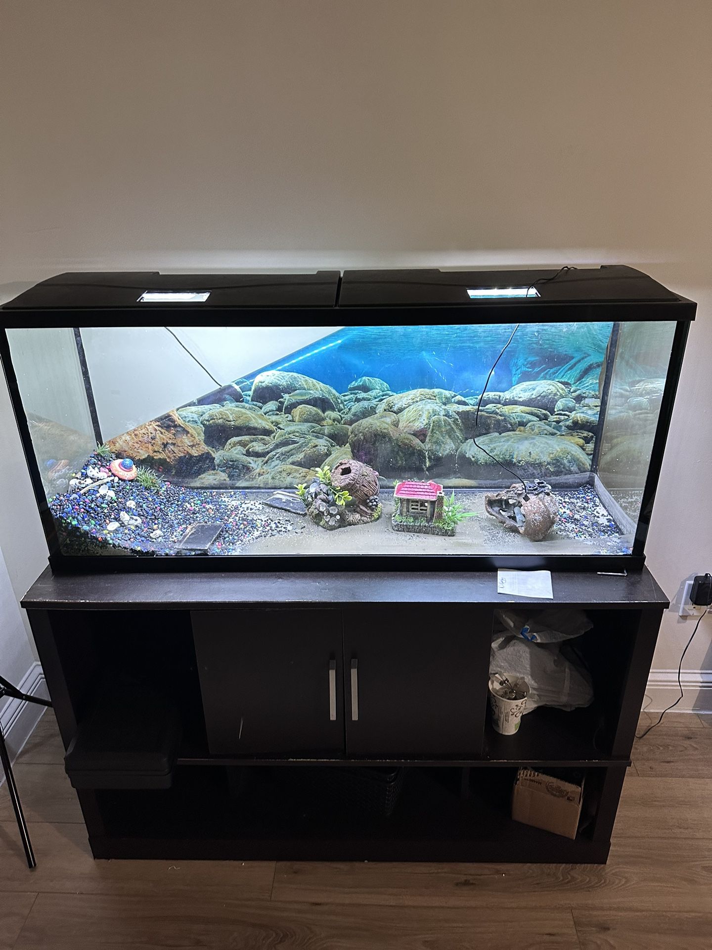 60 gallon fish tank with stand