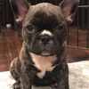 Charlie