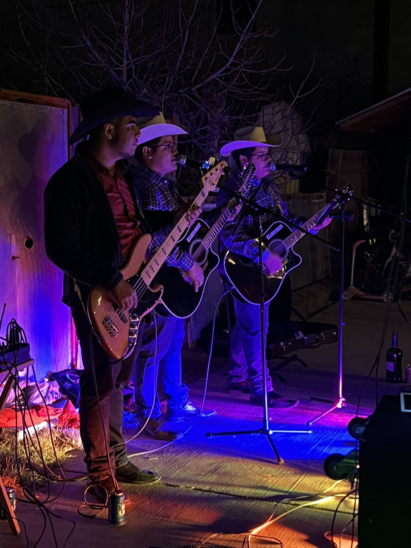 Grupo Sierreño Bueno Estilo Viejo