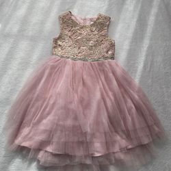 Pink Dress 6x