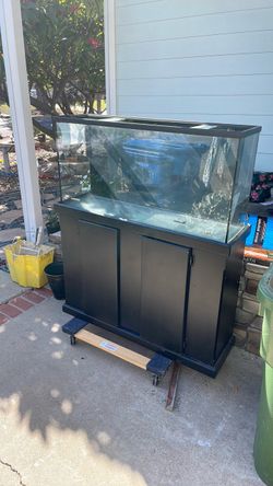 Fish tank