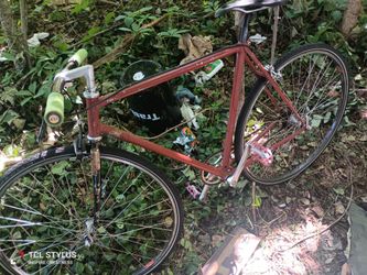 VINTAGE!1980'S Pinarelli Treviso WITH CAMPAGNOLO CRANK !