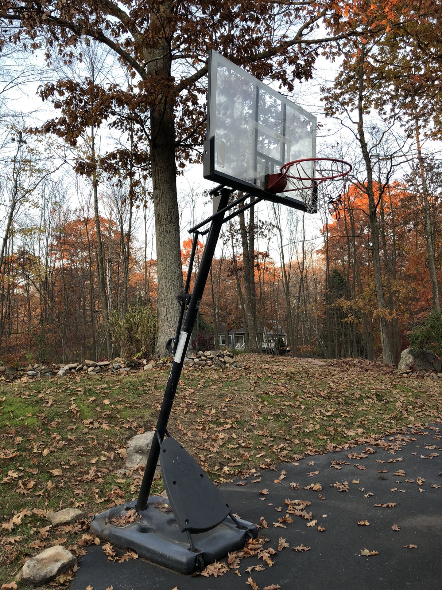 A Basketball Stand & Net! Must Go!