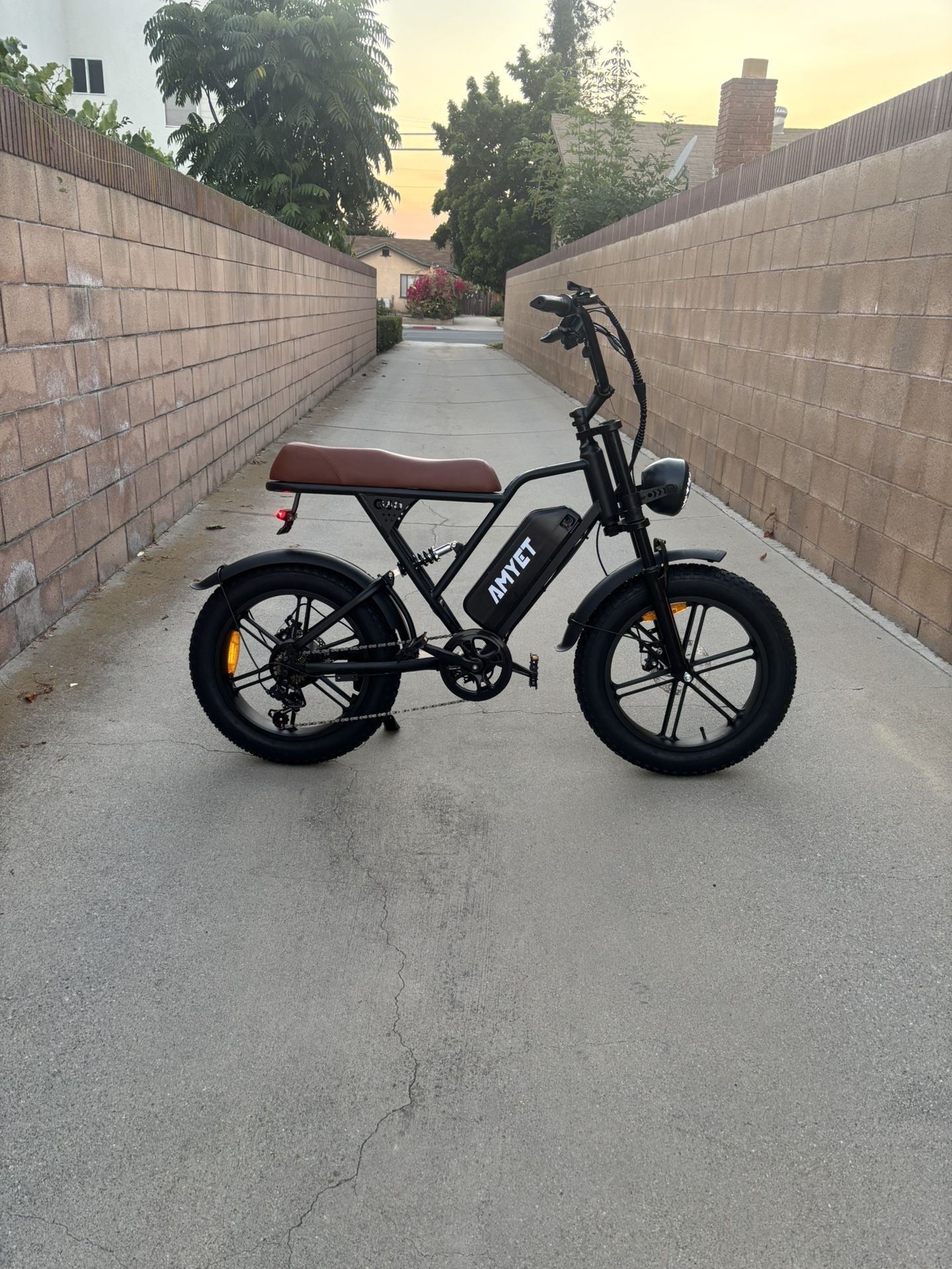 electric Bike