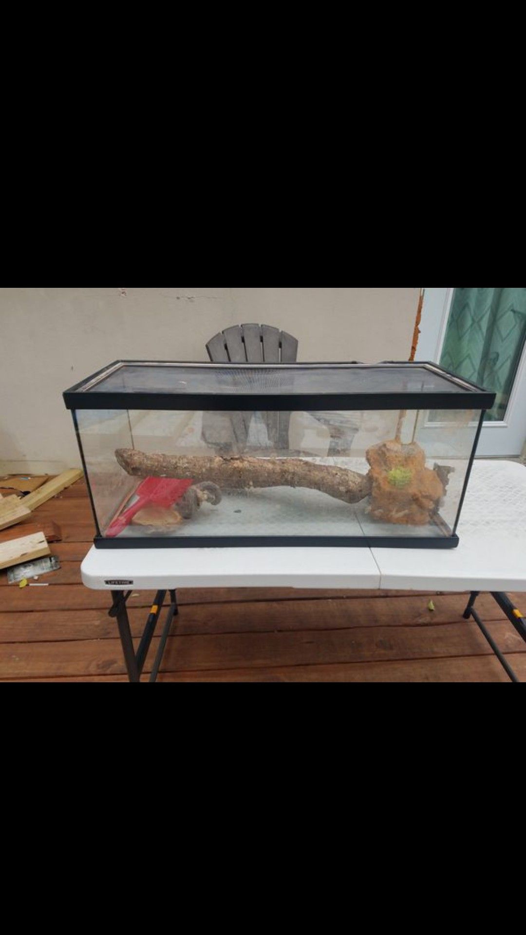 Bearded dragon set up