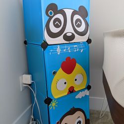 Toy Shelf/Organizer 