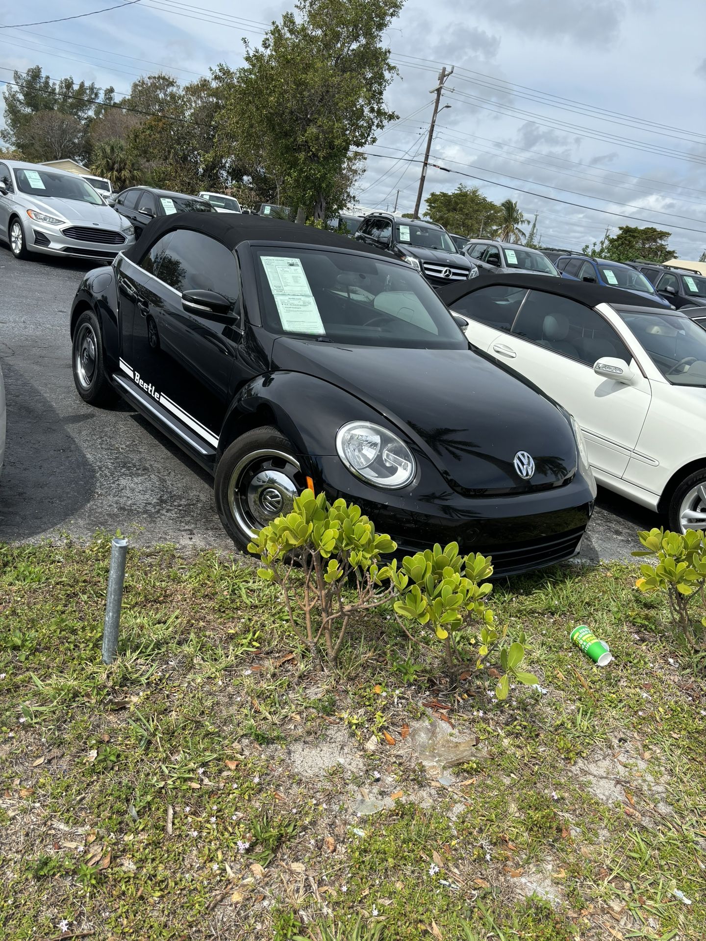 2014 Volkswagen Nettle