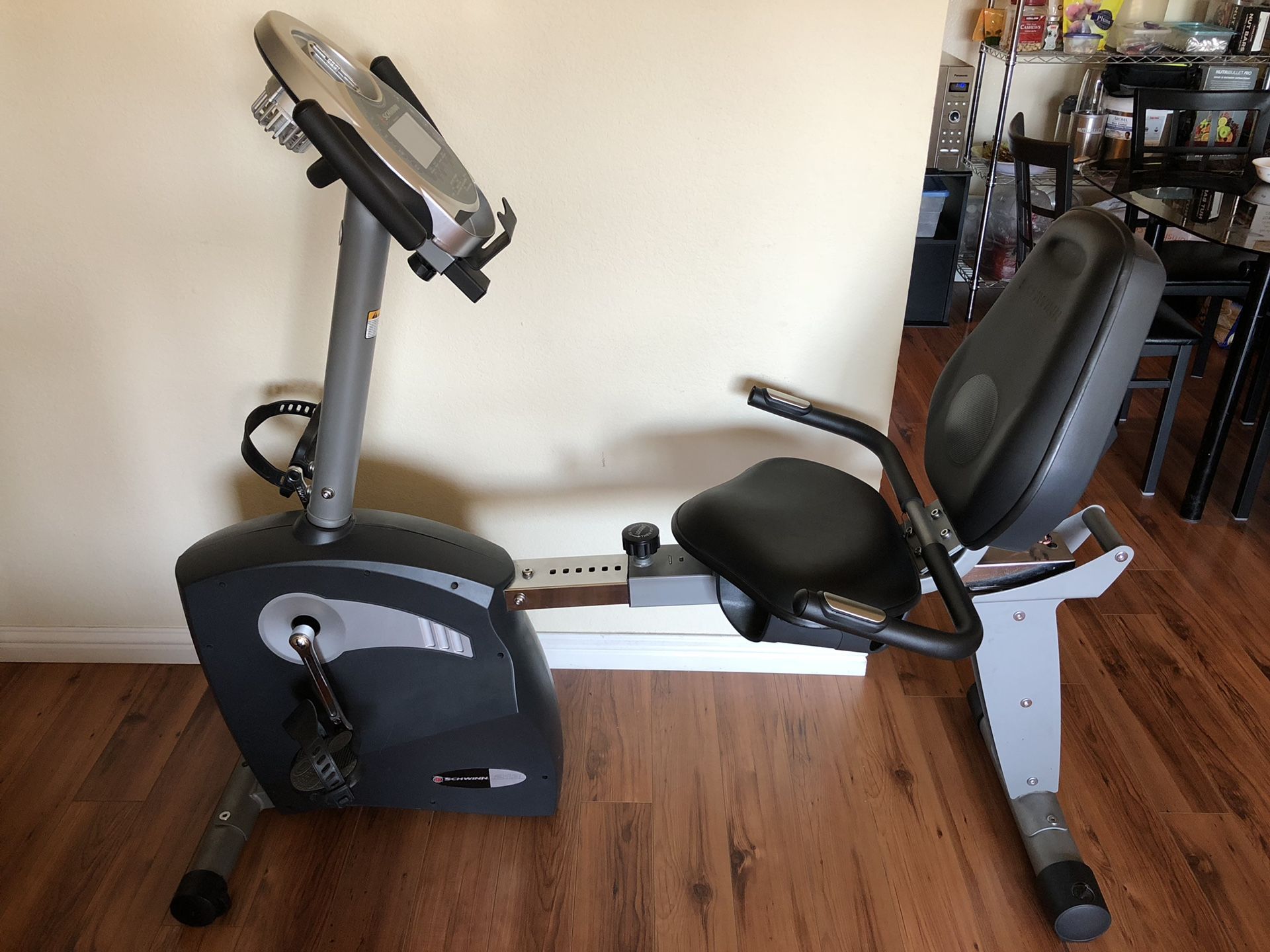 Schwinn 213 Recumbent Exercise Bike