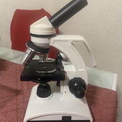 Microscopio/Microscope