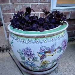 Large Pretty Planter With Plant