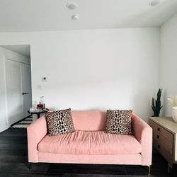 Modern Dusty Rose Apartment Sofa – Crate & Barrel –  (South Philly)