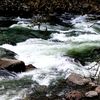 Triveni