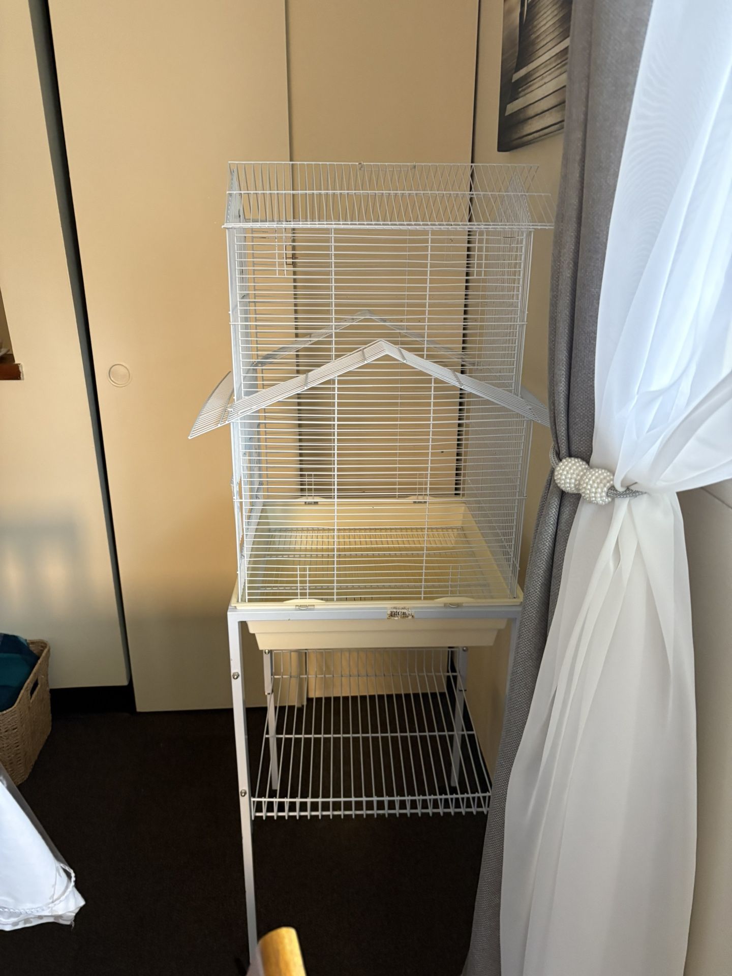 Bird Cage