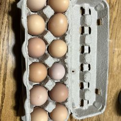 Fresh Eggs Dozen 
