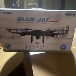Blue Jay Drone 