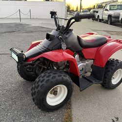 Kazuma Meerkat 50cc Atv
