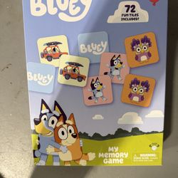 Bluey Match Game