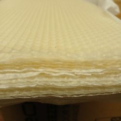 Bees Wex foundations