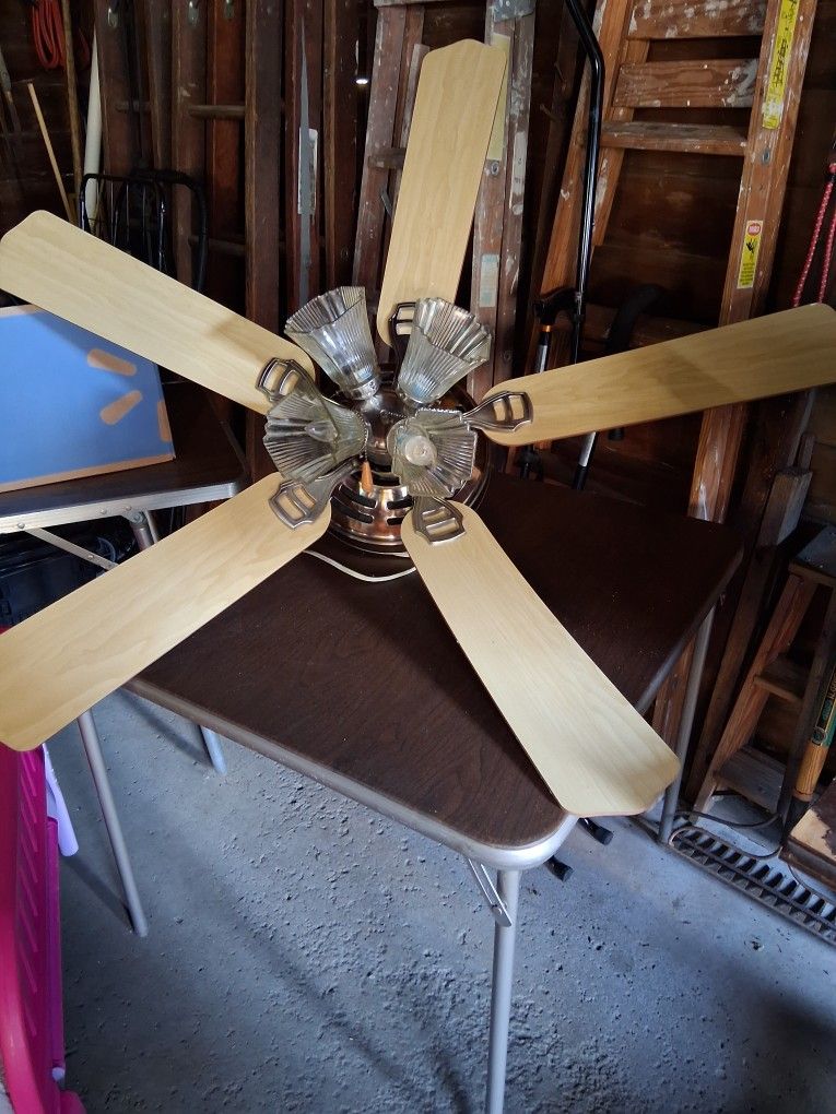 Beautiful Ceiling Fan
