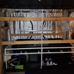 Full Beginner Hydroponic Grow Setup