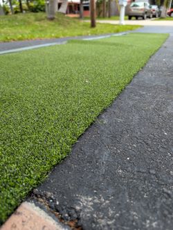 Turf - Putting Green