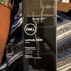 Dell Laptop Latitude3520